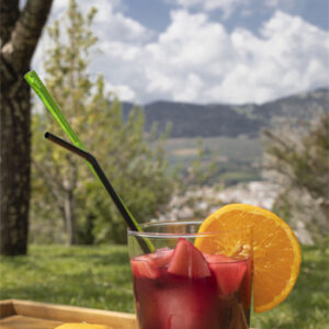Sangria in de zon