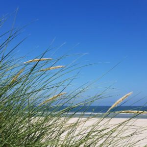 Vlieland