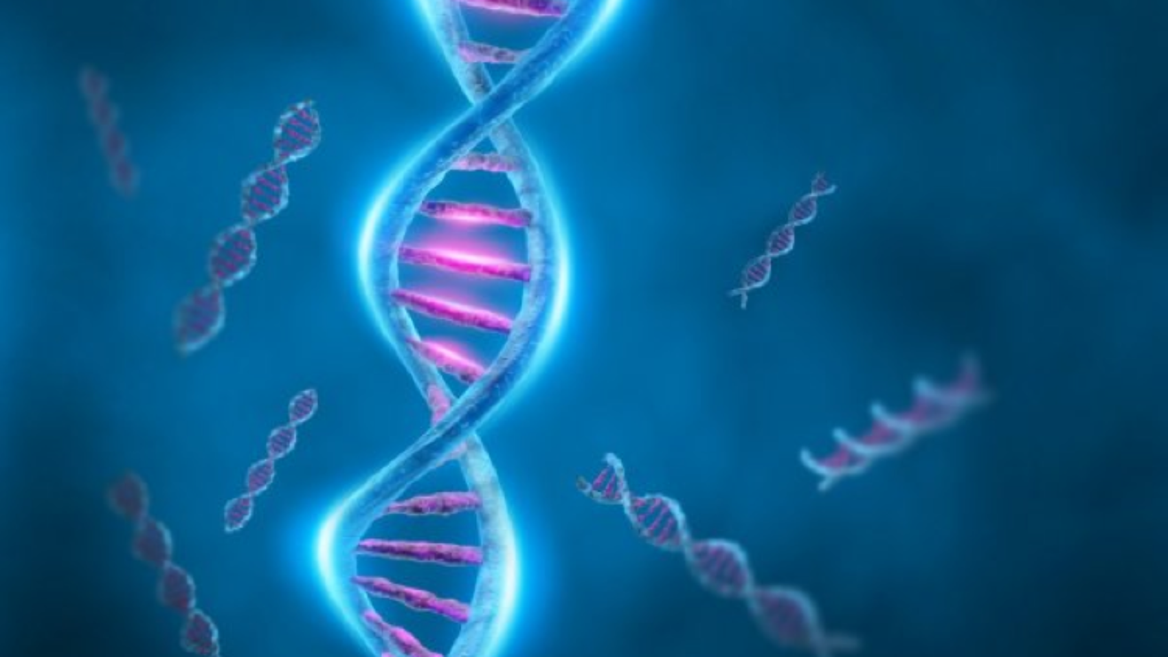 Fascinerend DNA - kraak de code
