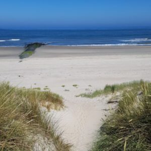 Vlieland-10-vierkant