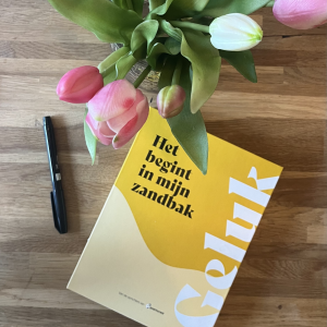 Werkboek Het begint in de zandbak