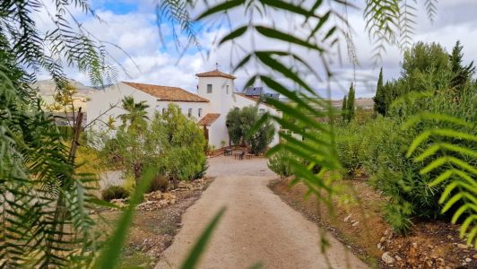 Aankomst Arriadh Hotel Spanje