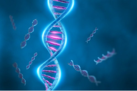 Fascinerend DNA - kraak de code
